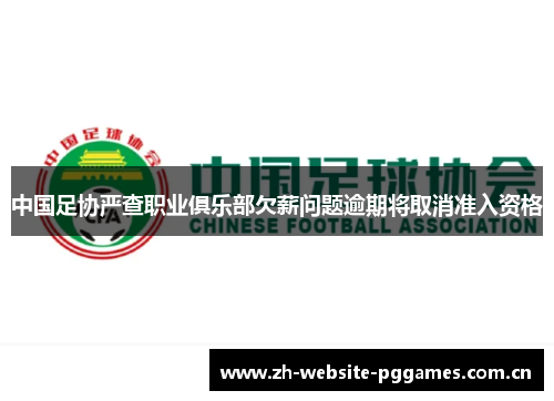 中国足协严查职业俱乐部欠薪问题逾期将取消准入资格